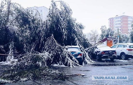 В Абакане снег, а как у вас погода, дорогие ЯПовчане?