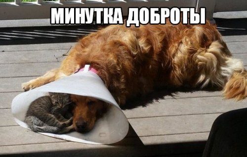 Занимательные картинки.