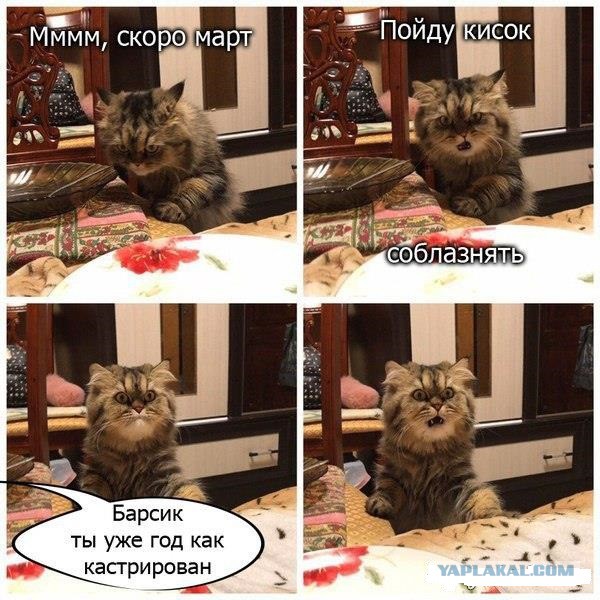 Юмор для всех