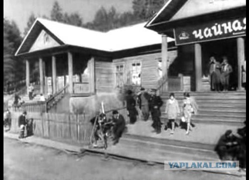 Чем же все-таки кормили в советских столовых