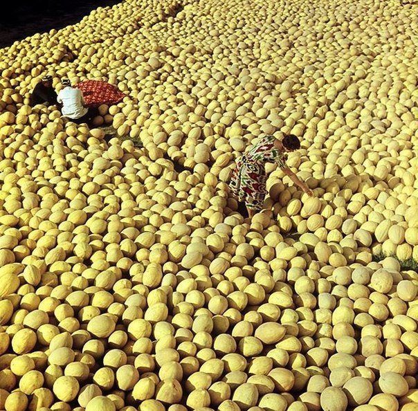 Фотографии из советского прошлого