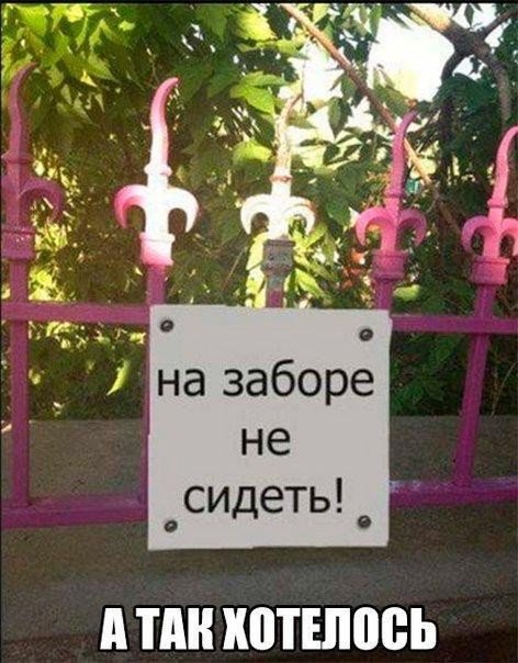 Смешные объявления, надписи и вывески
