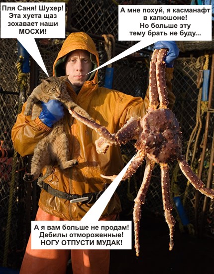 Нечеловеческая борьба кота и краба.