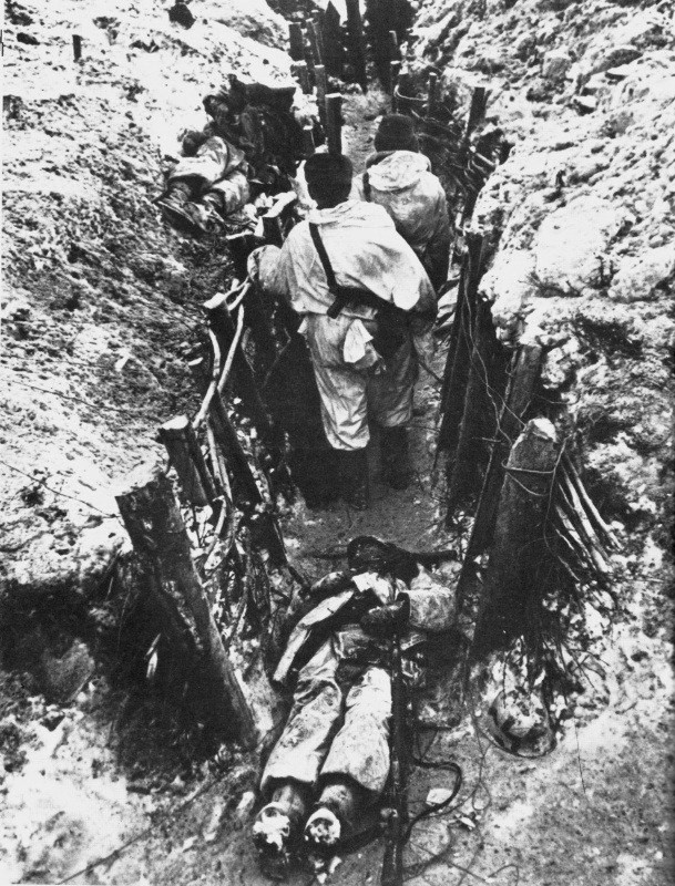 История в фотографиях