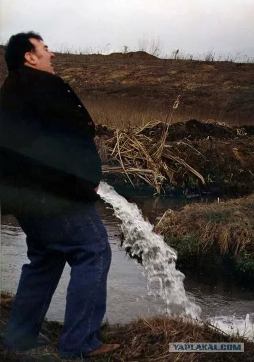 Спорим, вы не знали...