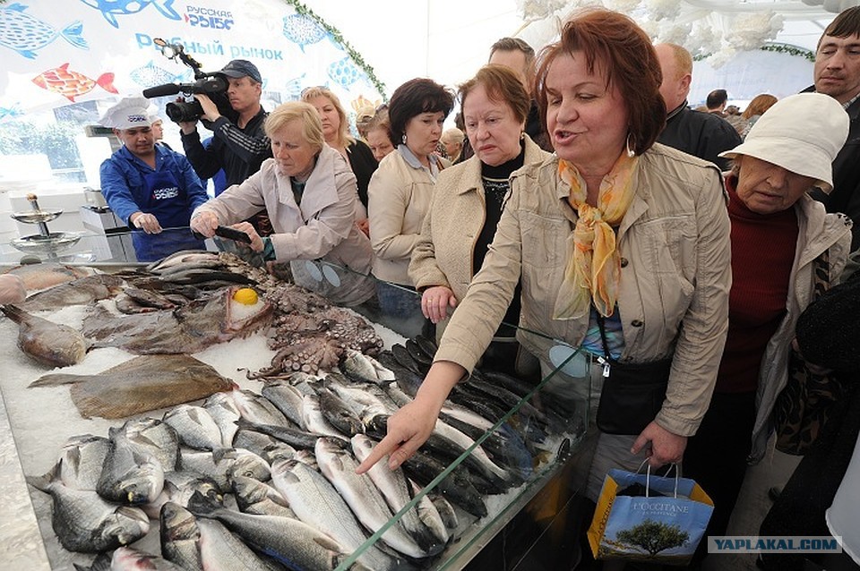 Почему рыба не мясо. Рыбная неделя в Москве рынок. Рыбный фестиваль название. Рыбный фестиваль сувениры. Гражданин рыба.