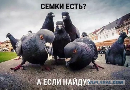 Символизм Пасмура Рачуйко