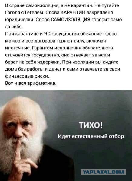 Карантинки 3