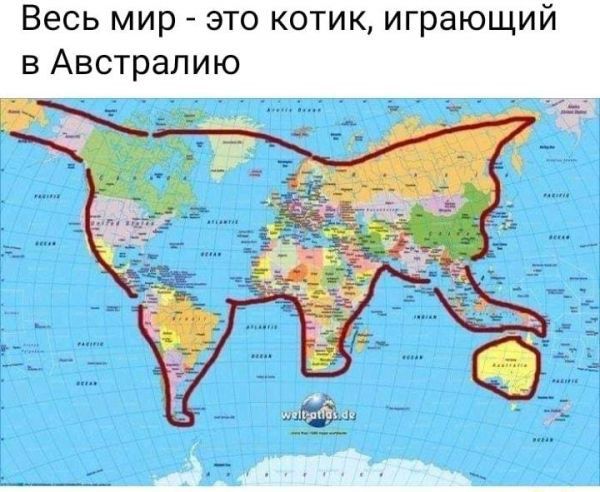 С размахом
