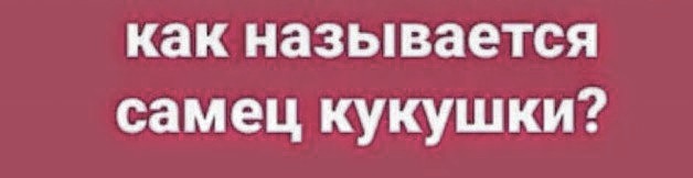 Немного картинок для настроения 03.07.20