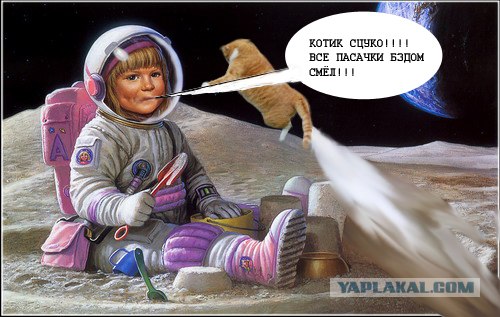 Кот - космонавт