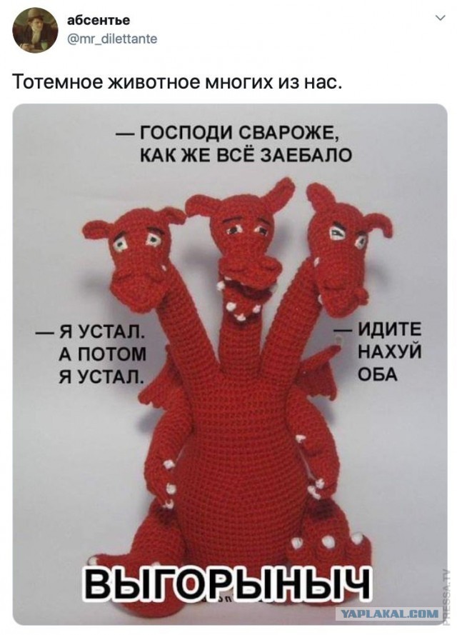 Кретинизмы из KV и KO 27.01.21