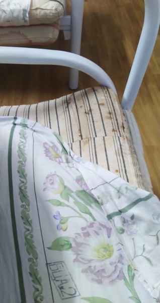 Год после заражения