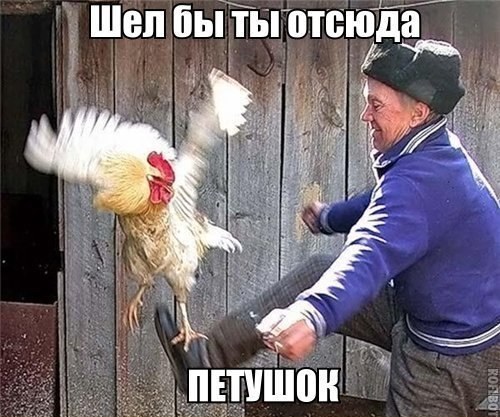 В Белоруссии Тихановскую и экс-силовиков обвинили в подготовке терактов.