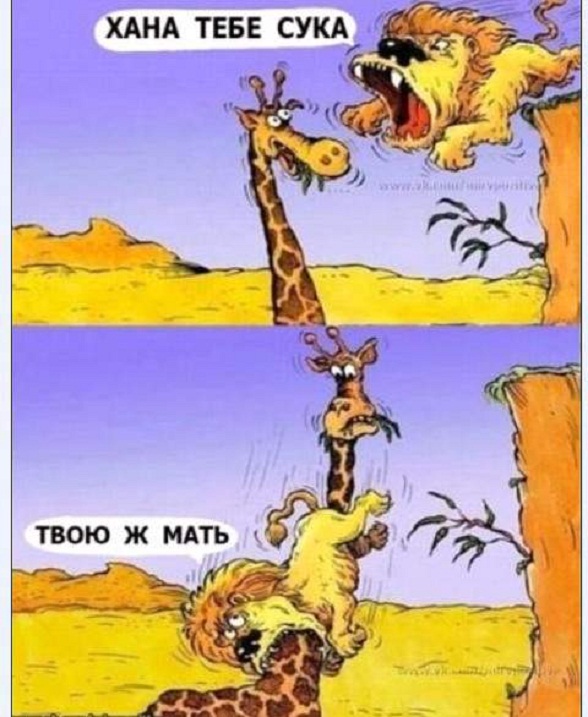 Картинки и мемы, всем хороших выходных