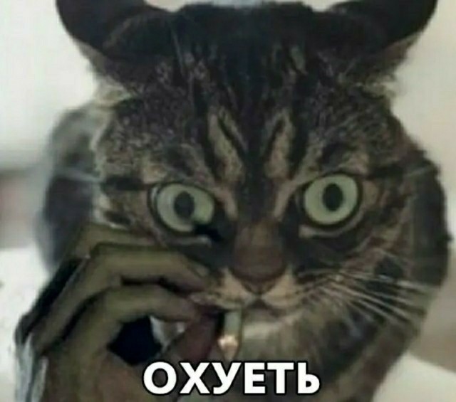 Вы чо там, все оглохли что-ли?!