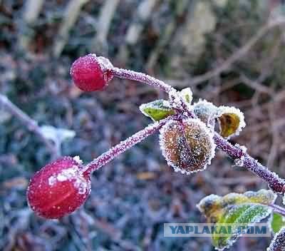 зима в европе