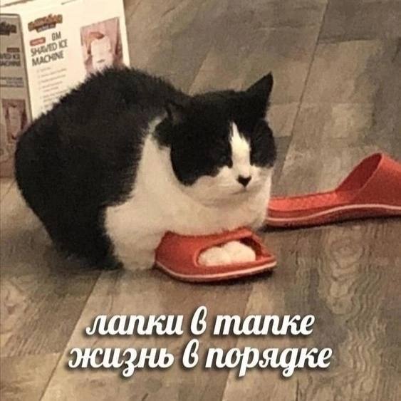 Так себе картинки 12.07.23