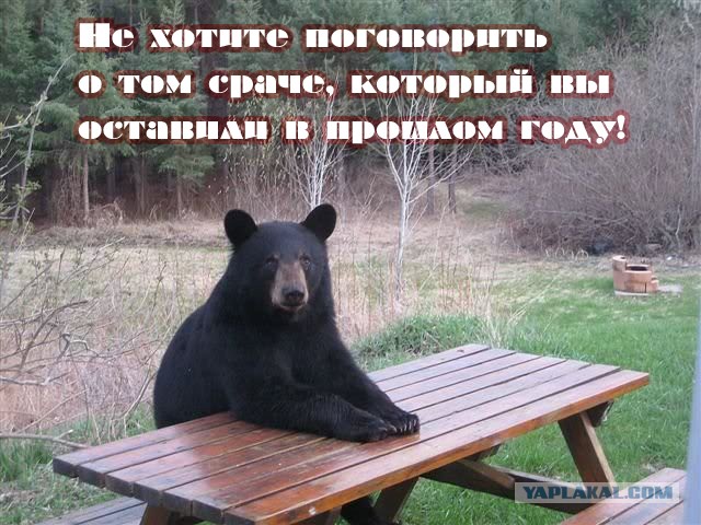 Майские праздники
