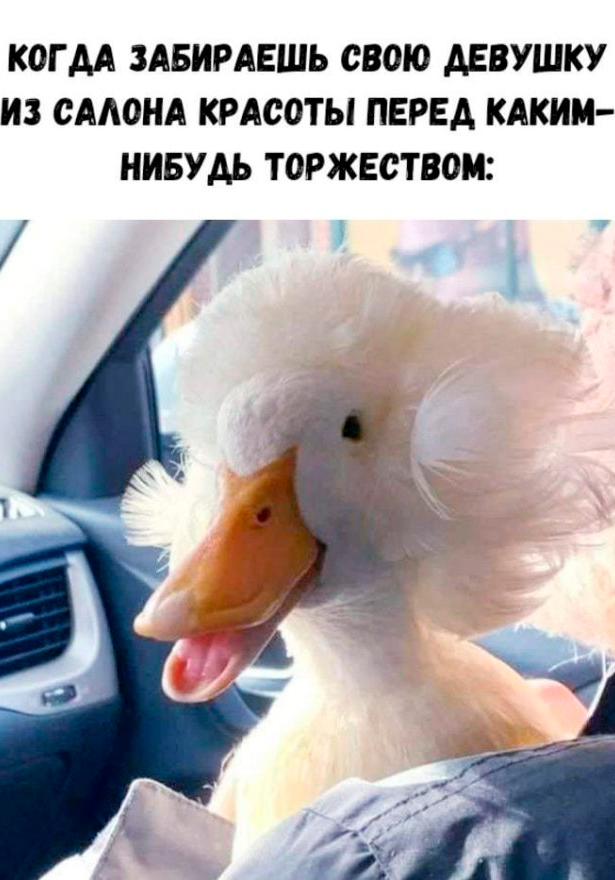 Веселые картинки в пятницу (21.02)