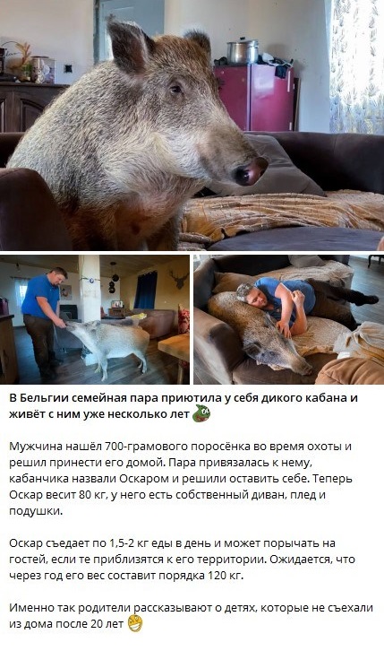 ТРРРидцать тРРРи от 22 мая