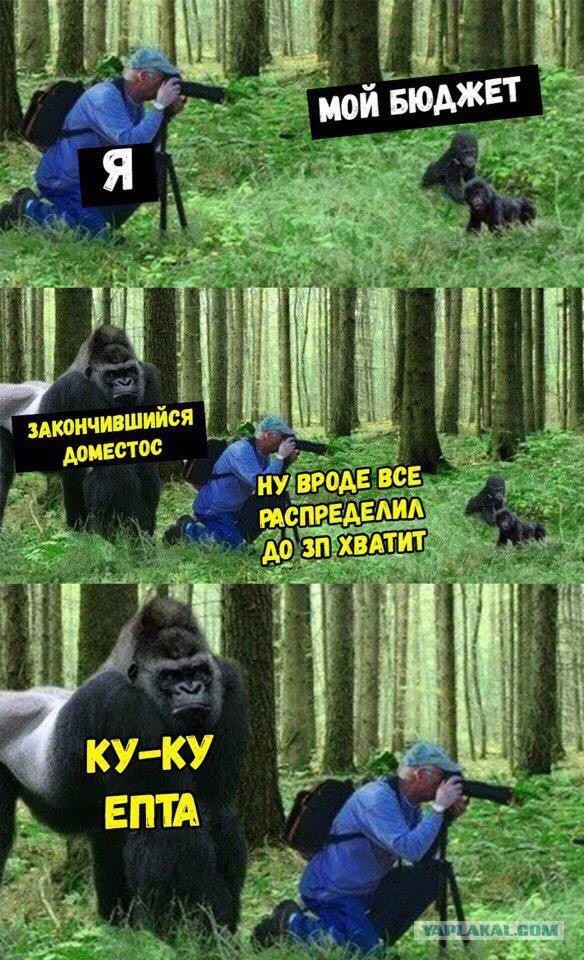 Летели два напильника, летели на боку