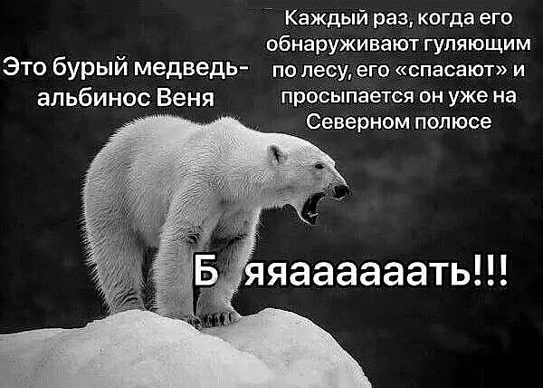 Картинки для деградации 110 (разной степени свежести)