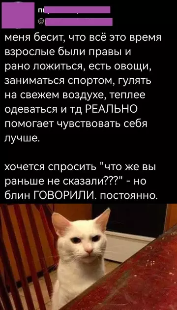 Картиночки, баянчики 11 марта