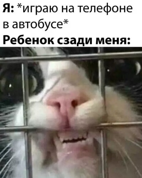 Картиночки, баянчики 21 марта
