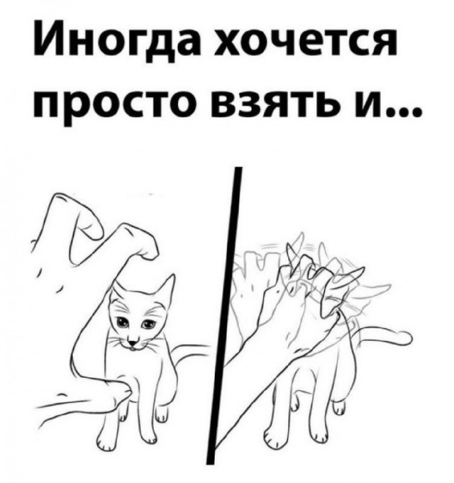 К котовторнику: подборка картинок-баянов с котиками и про котиков. Выпуск 35.