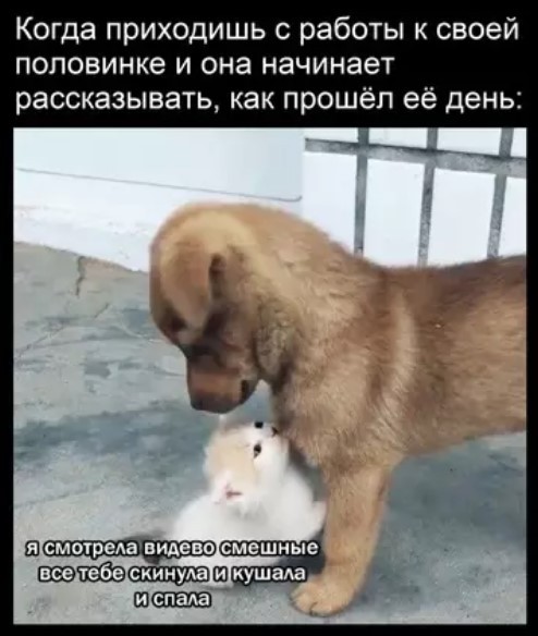 Картиночки, баянчики 26 апреля