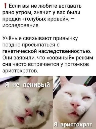 А среди нас много аристократов, товарищи!