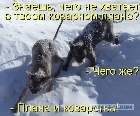Не про олимпиаду