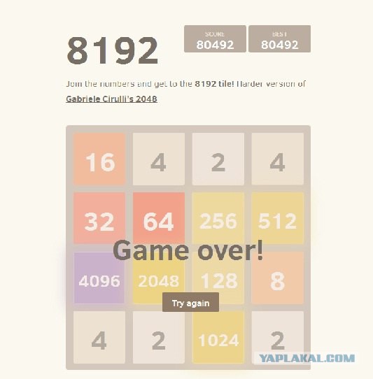 2048