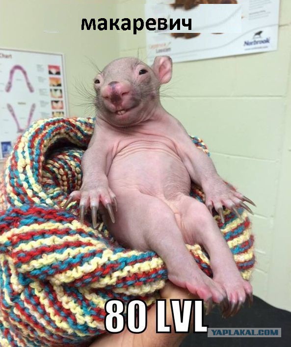 Смешные картинки из соц. сетей.