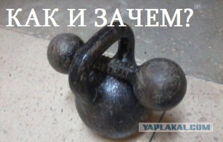 Прикольные фотобомбы