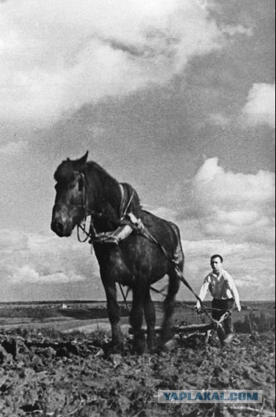 70 лет назад...