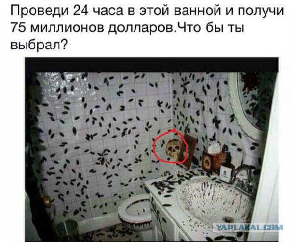 А что бы выбрал ты?