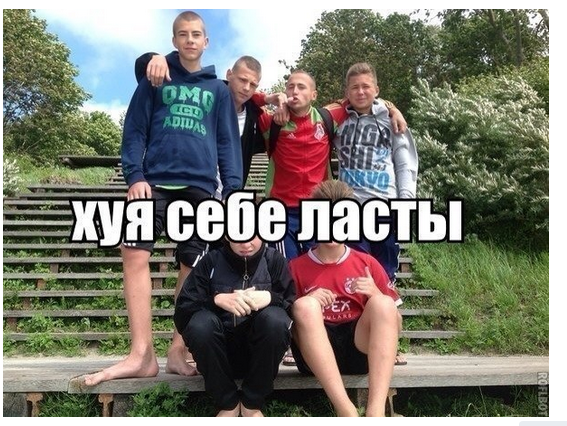Картинки из интернета