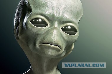 Убийство белого медведя