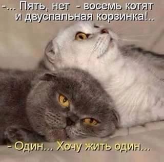 Картинки на утро вторника