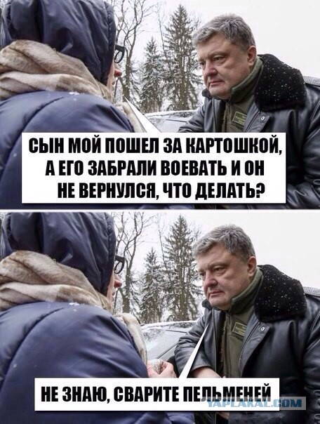 Веселые картинки