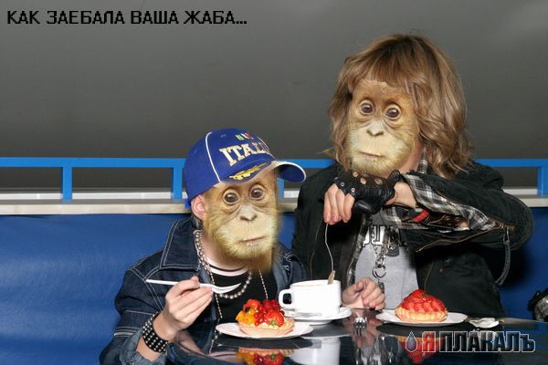Фотожаба: Сергей Зверев 2