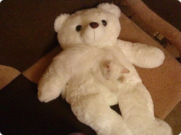 Подборка картинок 29.02.16