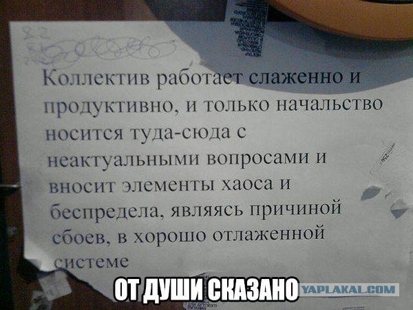 Смешные комментарии из социальных сетей 15.04.2016.