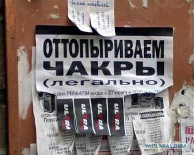 Баянист и завсегдатаи