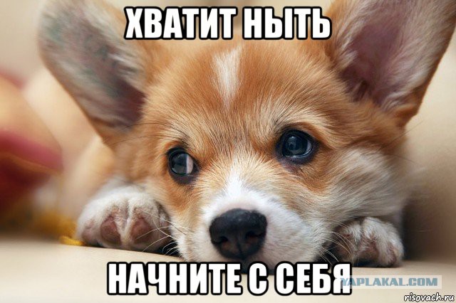 Помощник вице–премьера Шувалова помогает журналистам формулировать вопросы перед брифингом