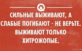 А проклясть-то забыли!