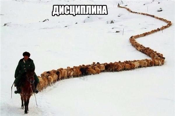 Подборка картинок