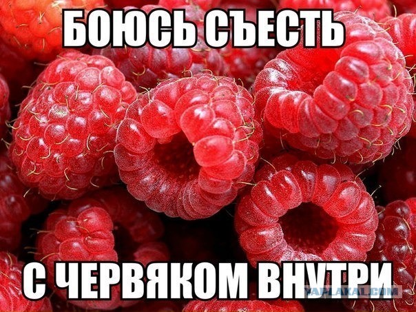 Красноярские хирурги достали из печени мужчины огромного червя